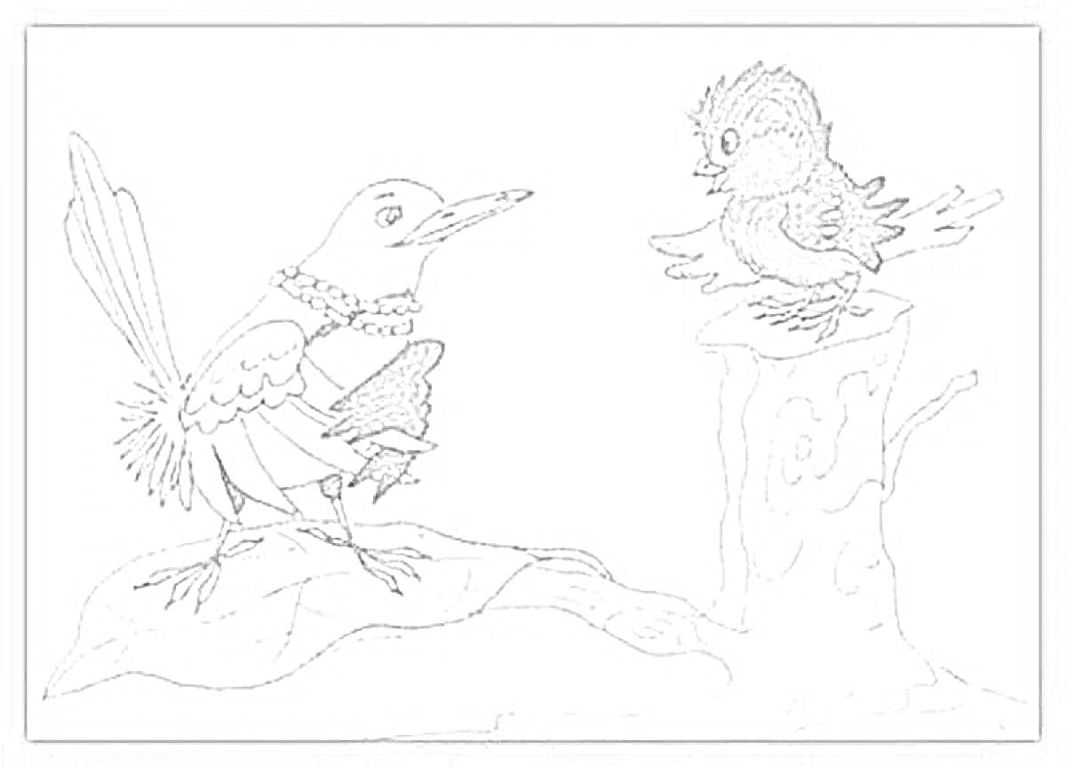 Раскраска Птицы на пеньке и ветке - нарядная птица и растрепанный воробей