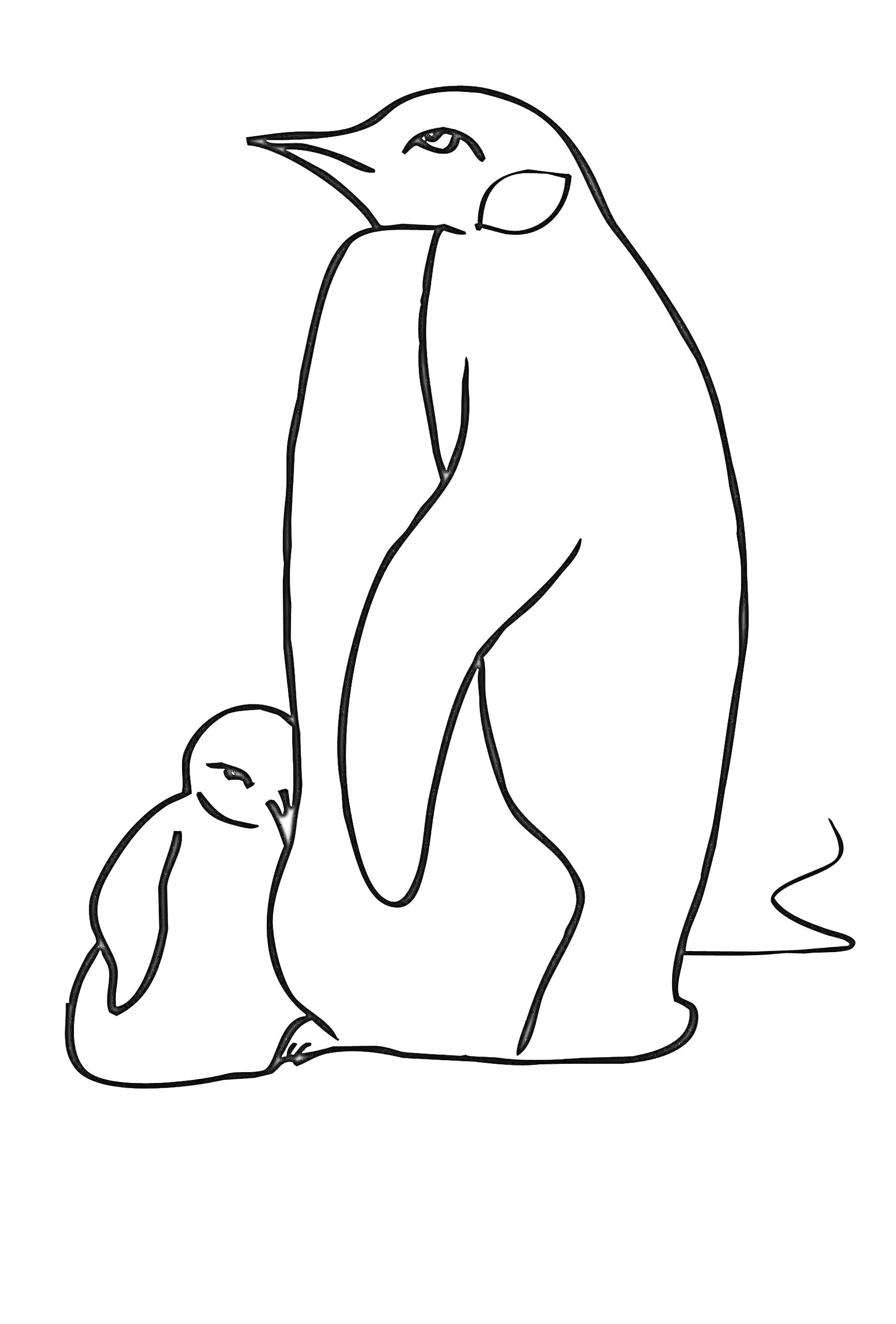 Раскраска Взрослый пингвин и детеныш пингвина