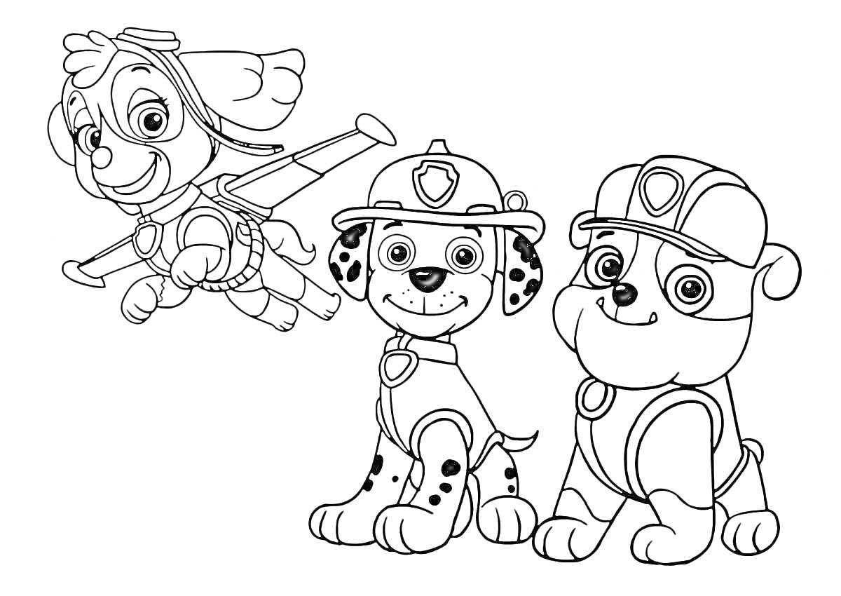 Раскраска Раскраска с тремя персонажами - летающая собака в шлеме и две сидящие собаки в шлемах и формах