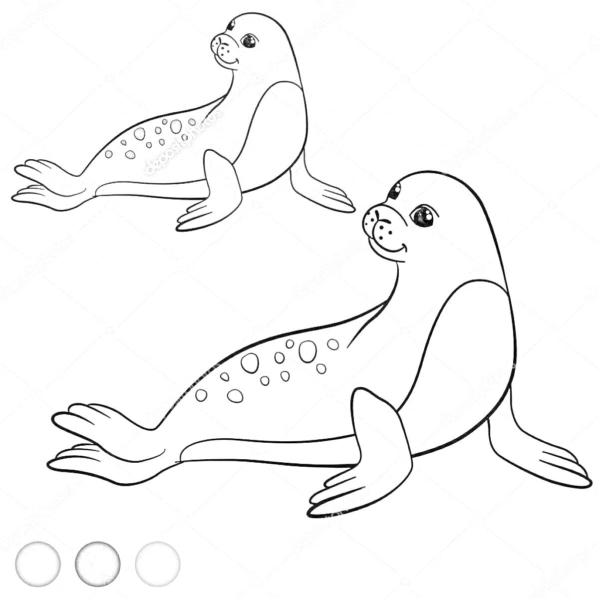 Раскраска Два милых тюленя с пятнышками и цветная палитра