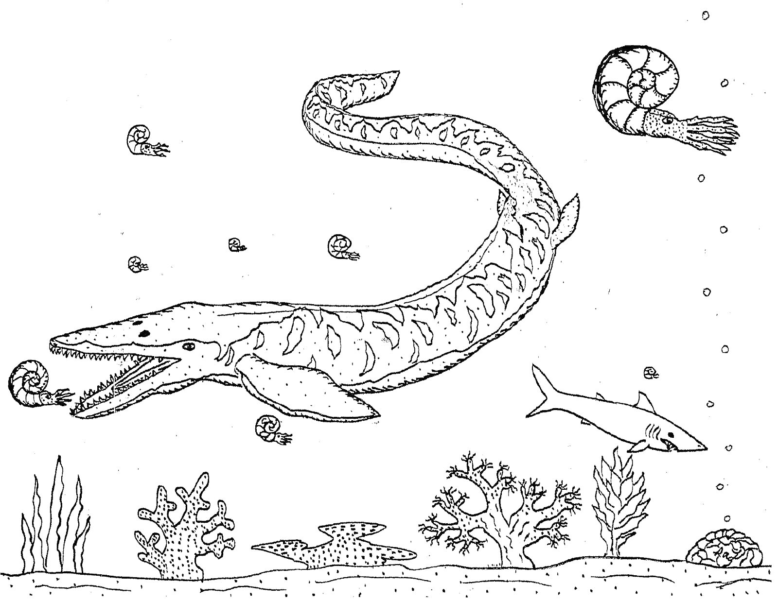 На раскраске изображено: Мозазавр, Подводный мир, Водоросли, Кораллы, Для детей, Морская жизнь