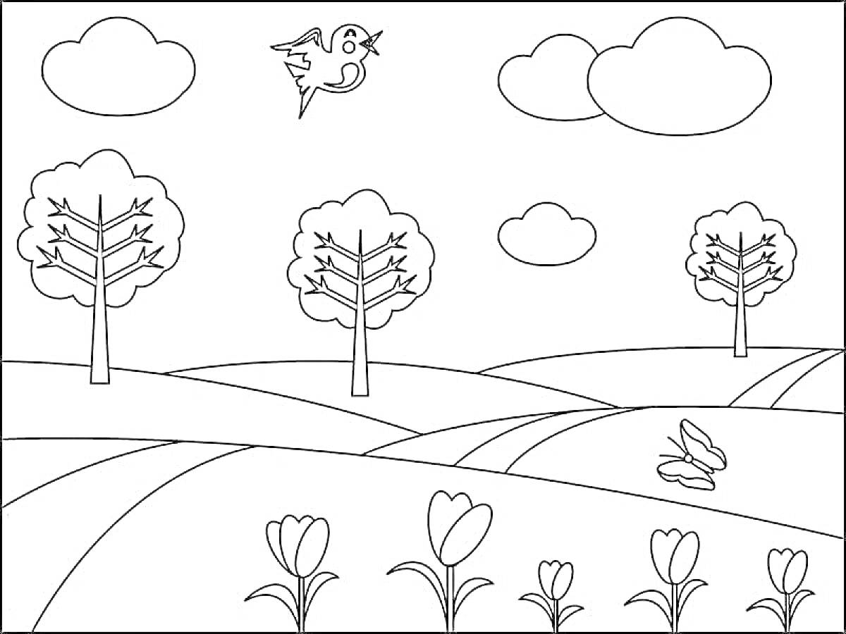 Раскраска Пейзаж с деревьями, птицей, облаками, тюльпанами и бабочками.