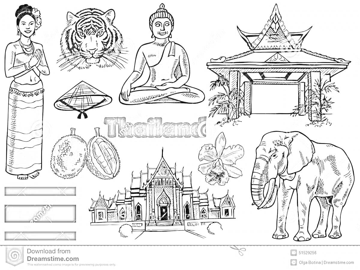 На раскраске изображено: Тайланд, Женщина, Традиционная одежда, Тигр, Будда, Статуя, Шляпа, Фрукты, Архитектура, Храм, Гибискус, Слон