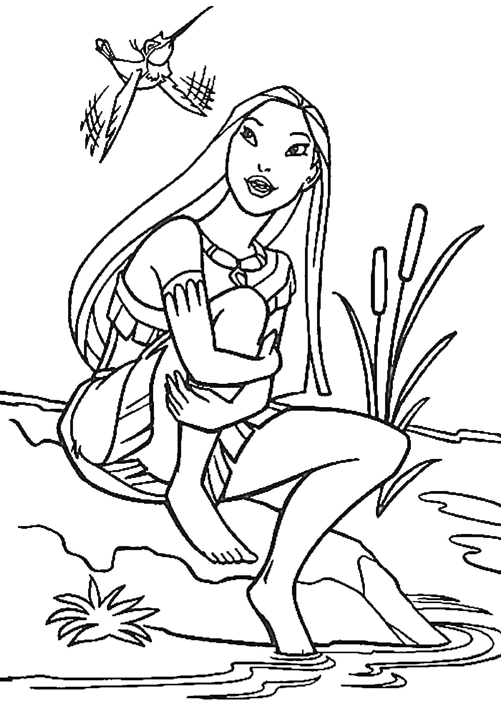 Раскраска Покахонтас сидит на берегу реки со скрещенными руками и ногами, рядом с растениями, над ней летает колибри