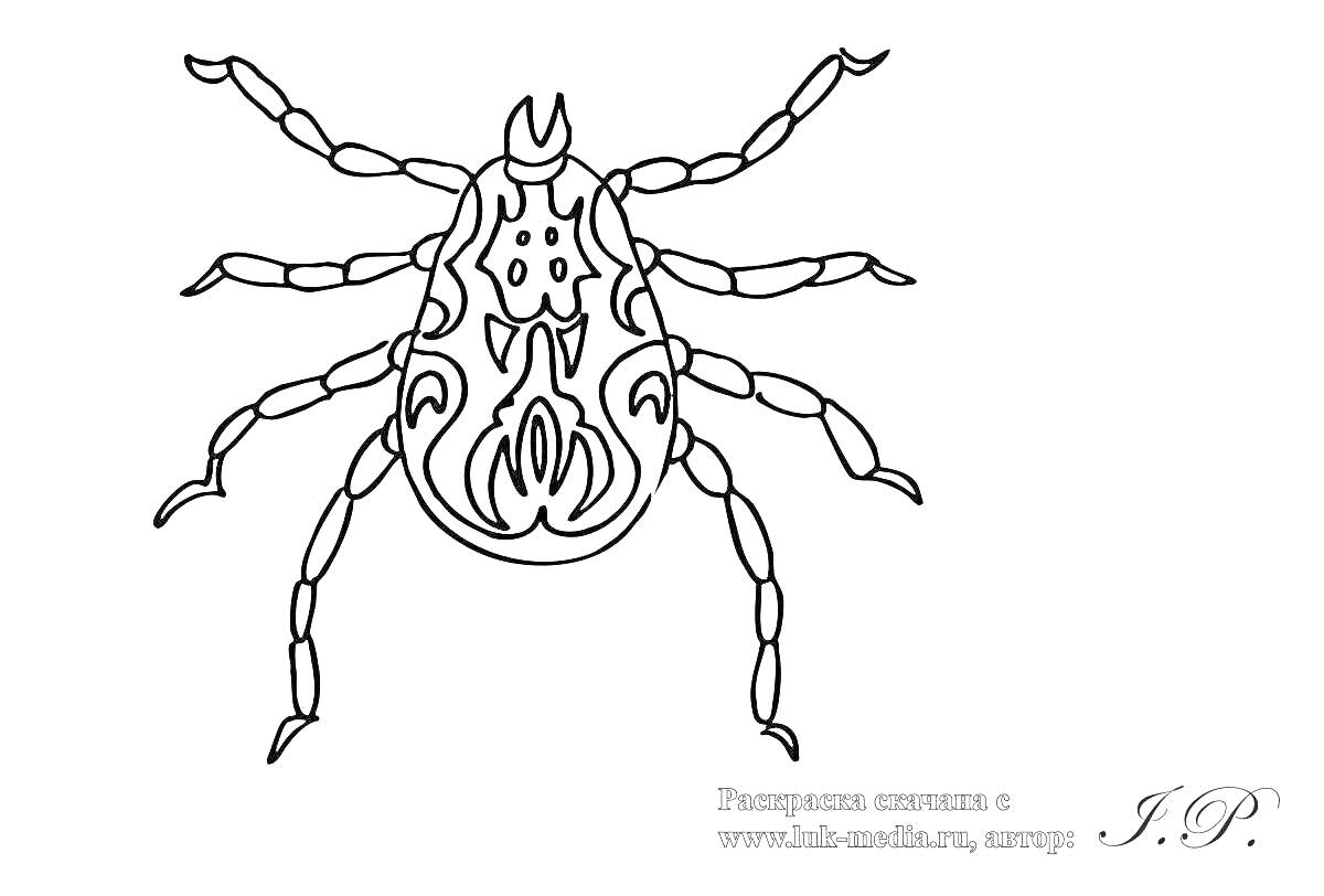 Раскраска Раскраска клеща с узорами на теле и восемью конечностями
