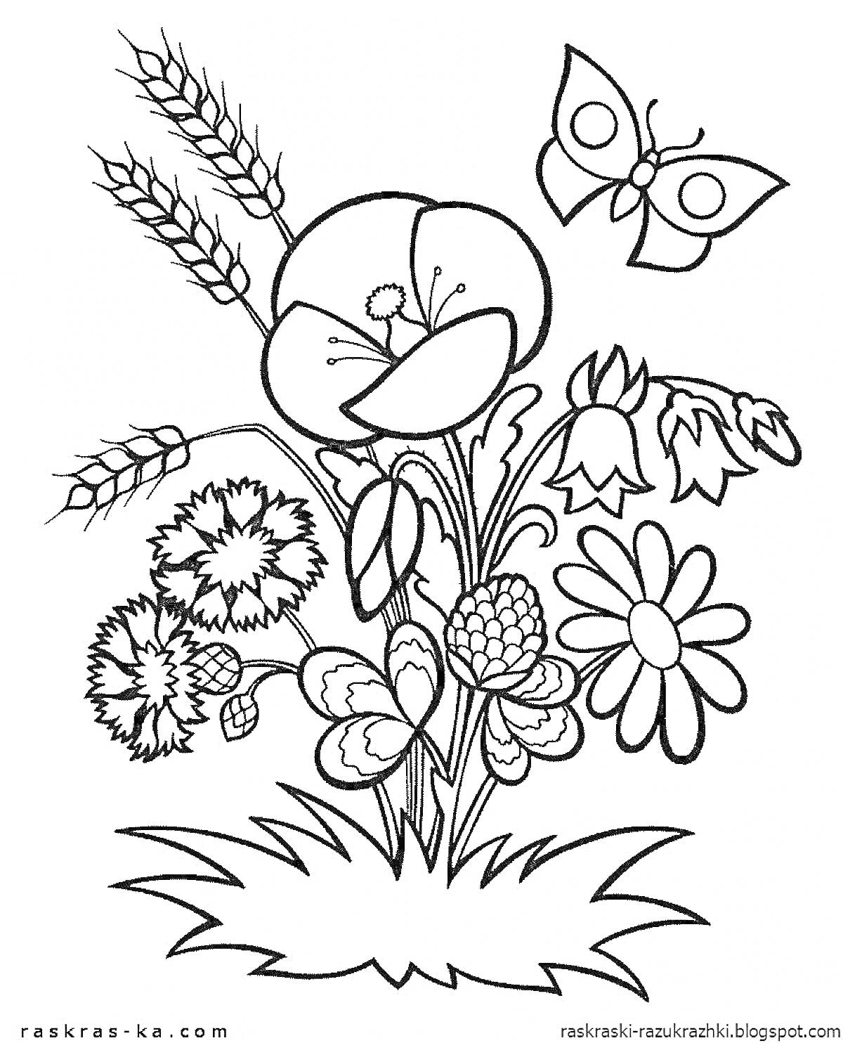 На раскраске изображено: Цветы, Мак, Ромашка, Колоски, Бабочка, Природа, Для девочек