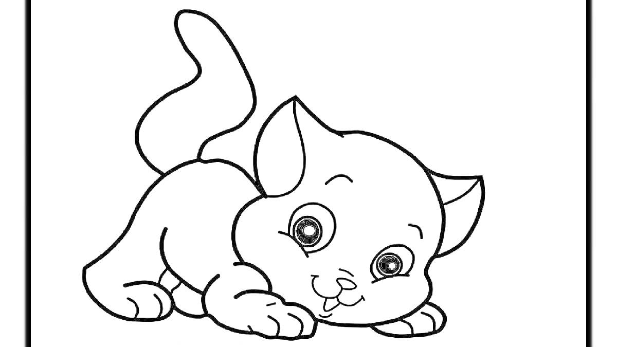 Раскраска котенок, лежащий на земле, согнув передние лапы и поднимающий заднюю часть тела, с удовольствием высунув язык