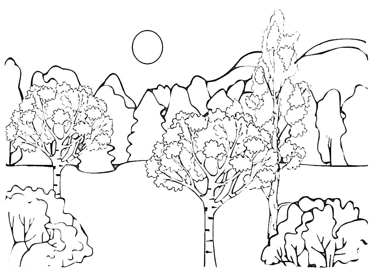 Раскраска Пейзаж с деревьями, кустами, горами и солнцем