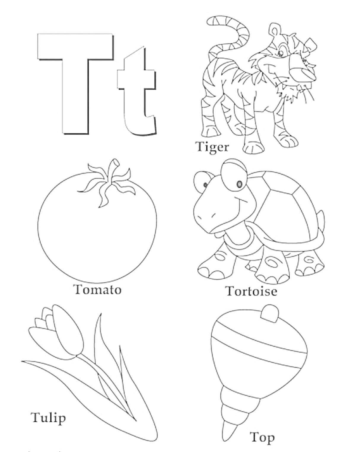 На раскраске изображено: Алфавит, Буква T, Тигр, Помидор, Черепаха, Волчок, Английский алфавит