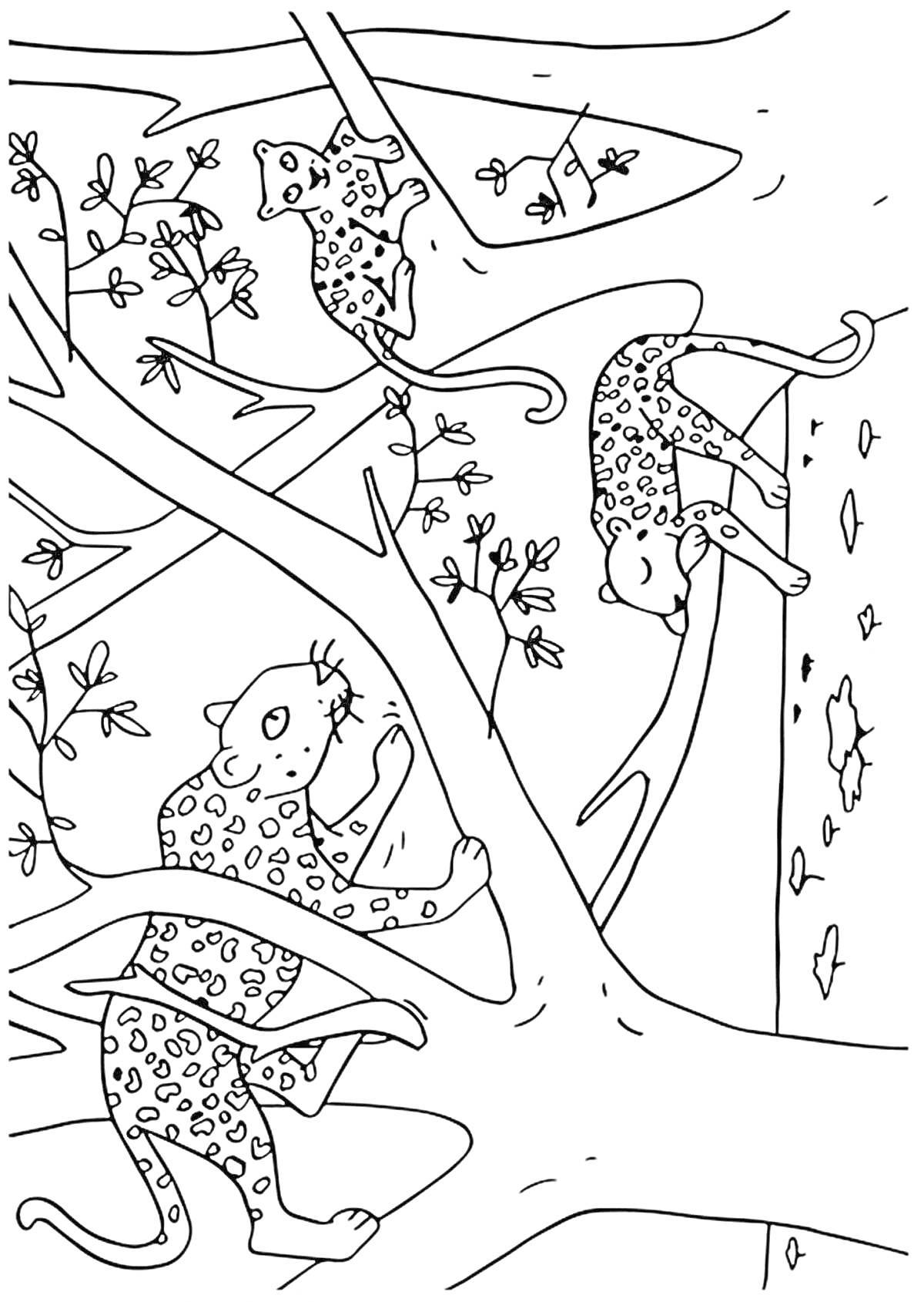 Леопарды на деревьях с листьями и ветками