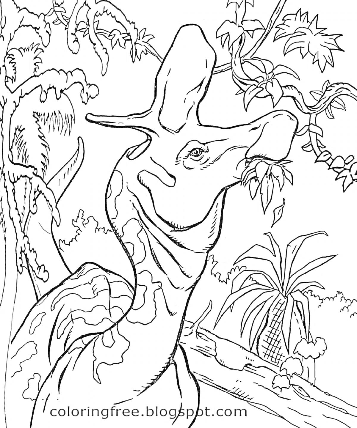 Раскраска Динозавр, ест листья, деревья, кусты, растения