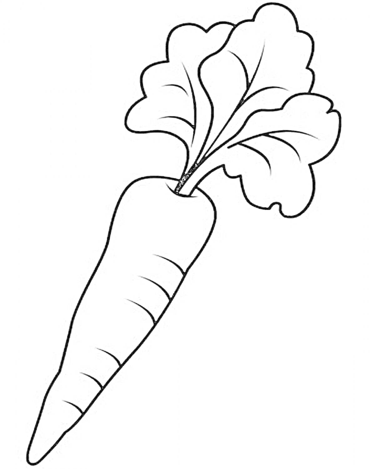 На раскраске изображено: Морковь, Овощи, Листья, Детское творчество