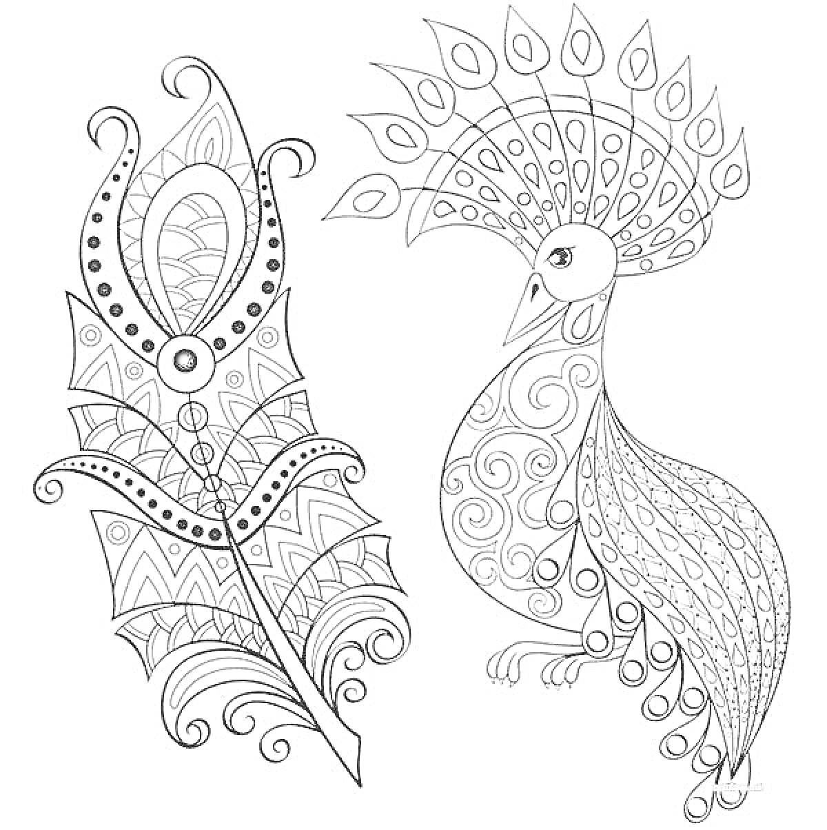 Раскраска Антистресс раскраска павлин с большим узорным пером и павлином с узорчатым хвостом
