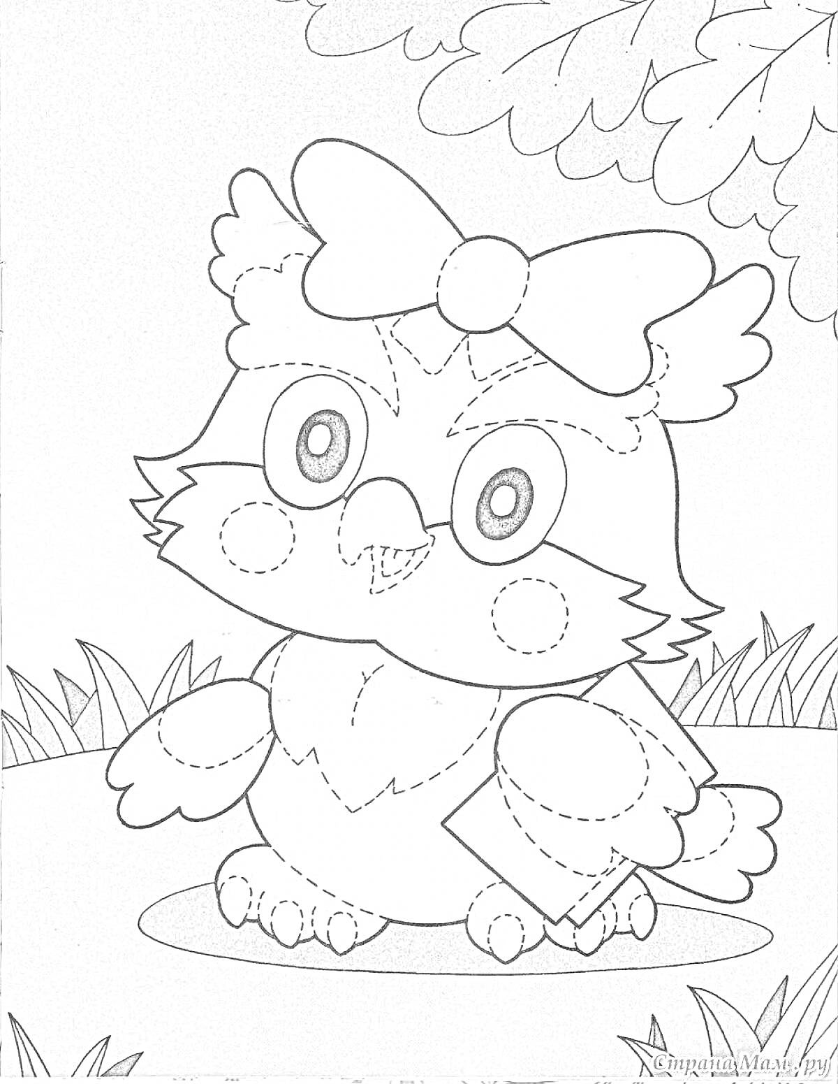 На раскраске изображено: Сова, Бант, Лес, Трава, Деревья