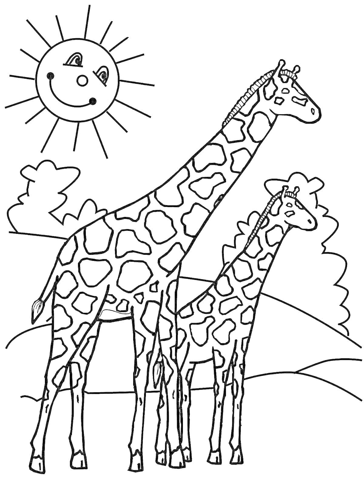 На раскраске изображено: Жирафы, Солнце, Деревья, Природа, Для детей, Саванна, Животные, Контурные рисунки
