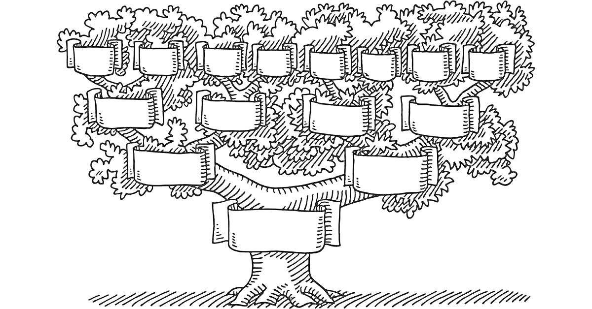 Родовое дерево с пустыми табличками для фамилий и имен