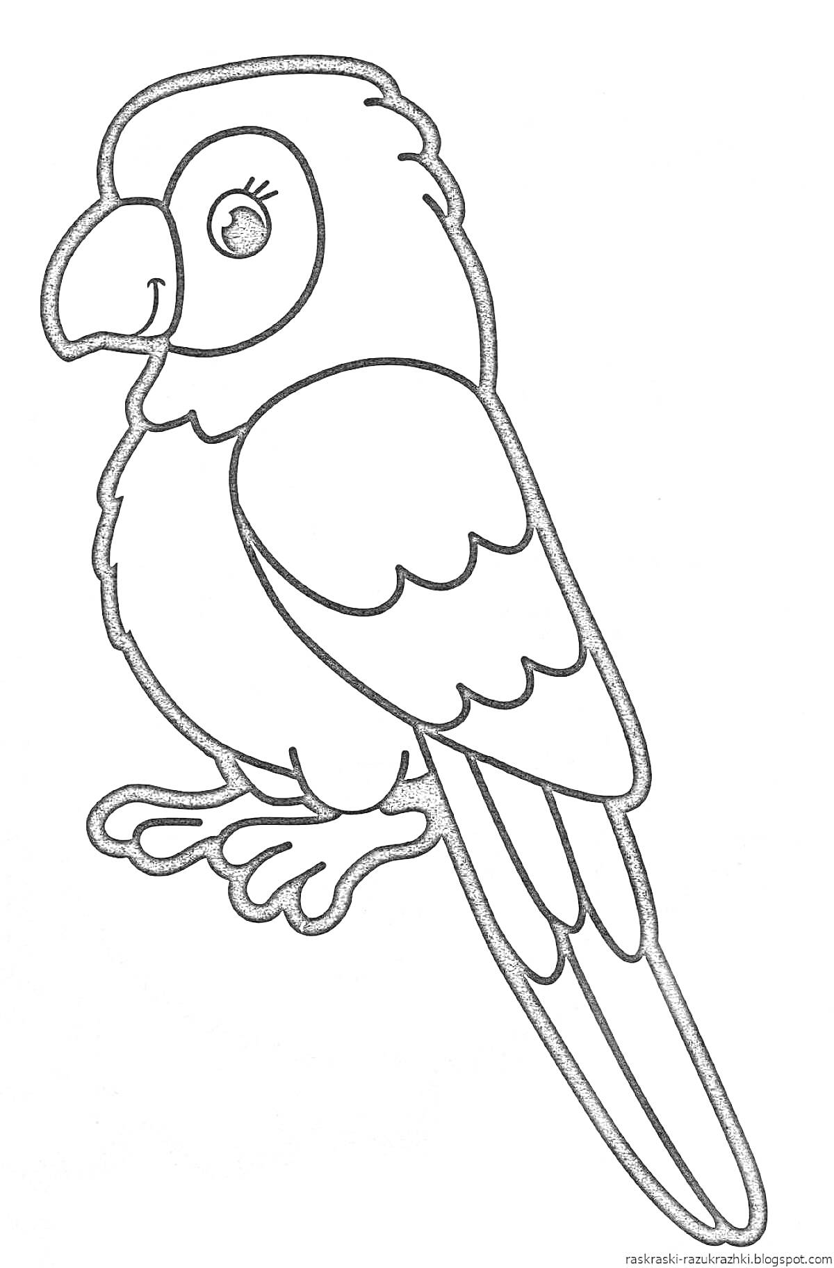 Раскраска Попугай на ветке с большими глазами