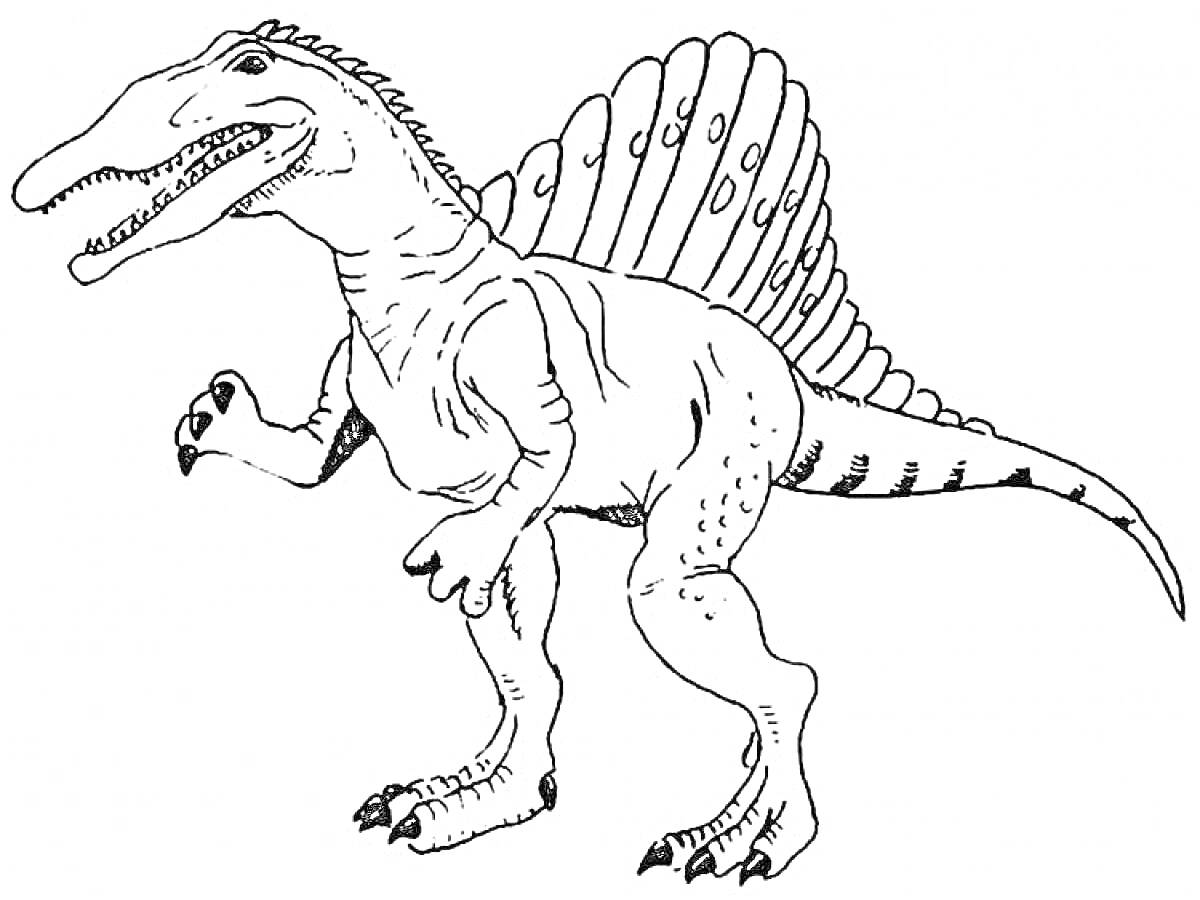 спинозавр с поднятой передней лапой, показанные зубы, стегозавровидный гребень на спине