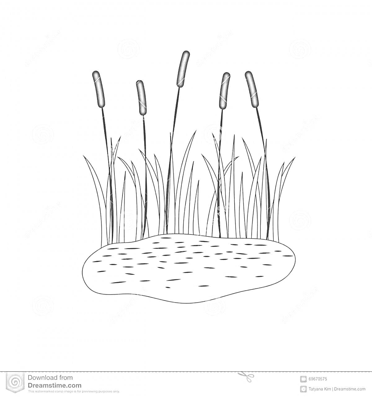 На раскраске изображено: Камыши, Болото, Вода, Растения, Природа, Иллюстрация