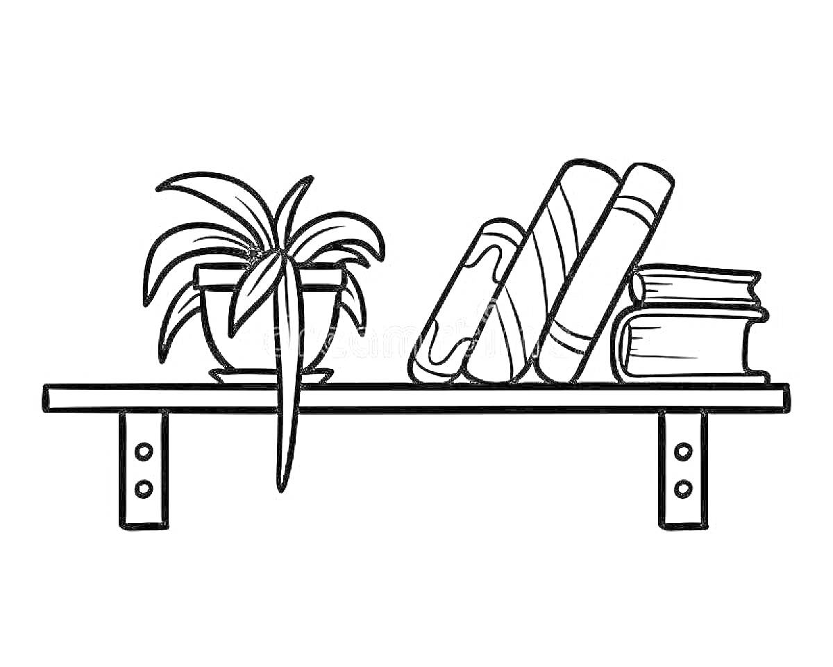 Раскраска Полка с растением в горшке и книгами
