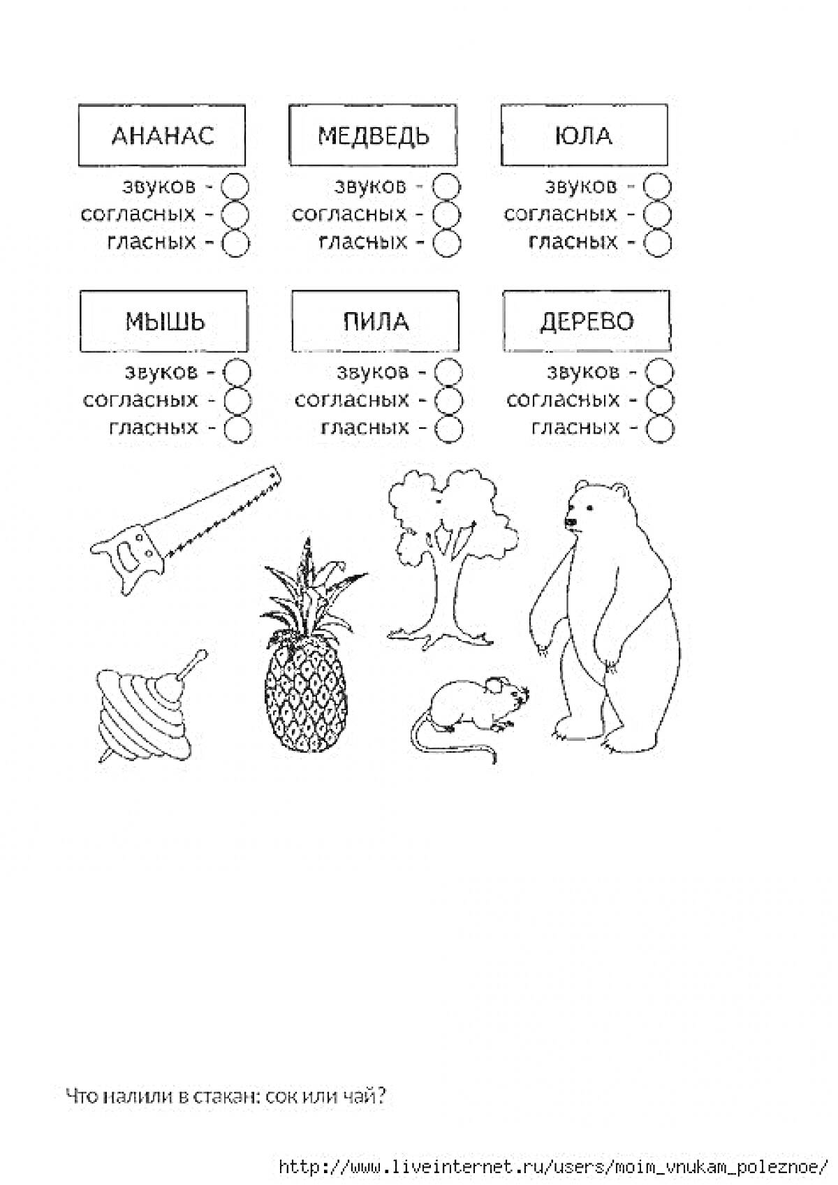 На раскраске изображено: Ананас, Медведь, Юла, Мышь, Пила