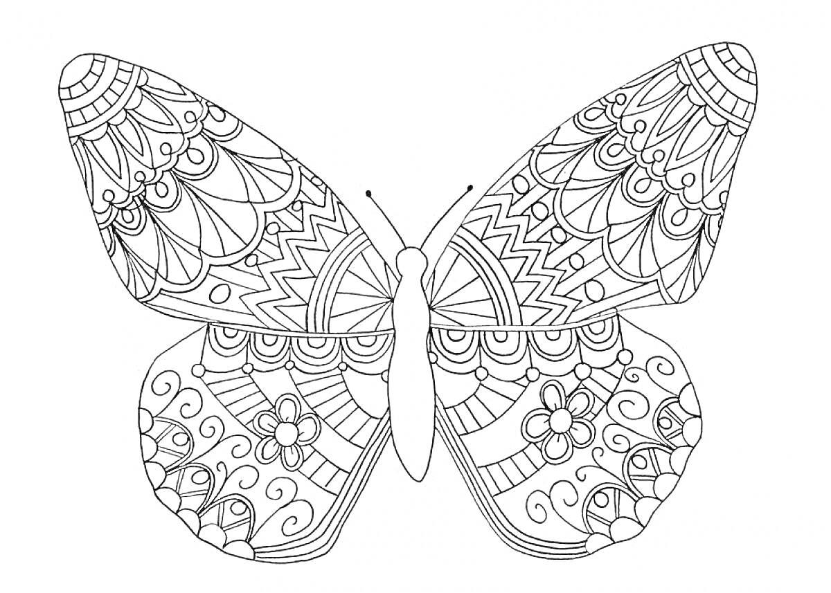 Раскраска Бабочка с узорами, включающими цветы, спирали, чешуйки и линии