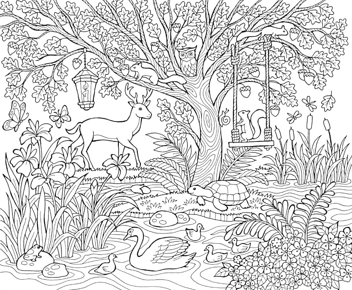 На раскраске изображено: Сказочный лес, Лань, Сова, Белка, Качели, Черепаха, Цветы, Лягушки