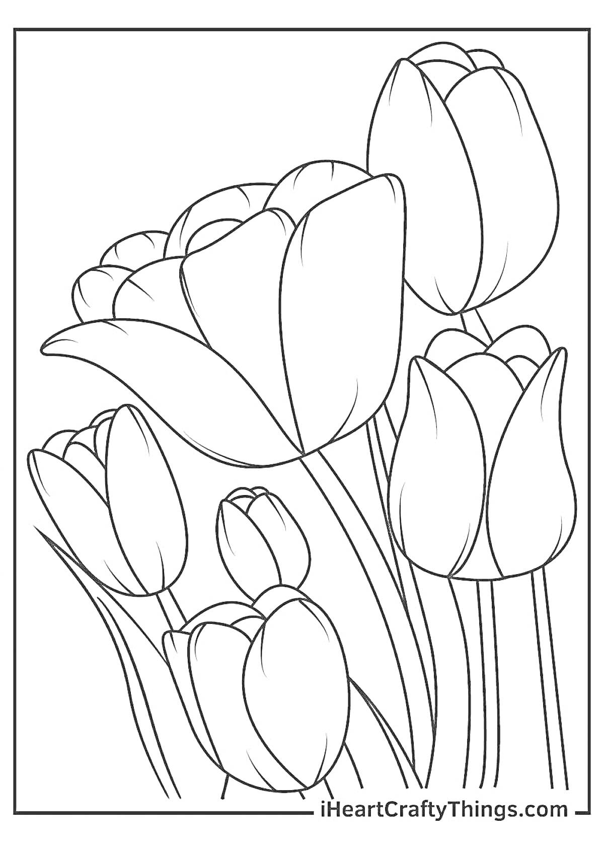 Раскраска Тюльпаны для раскрашивания, группа тюльпанов в вазе