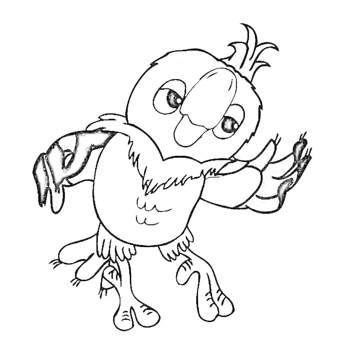 На раскраске изображено: Птица, Перья