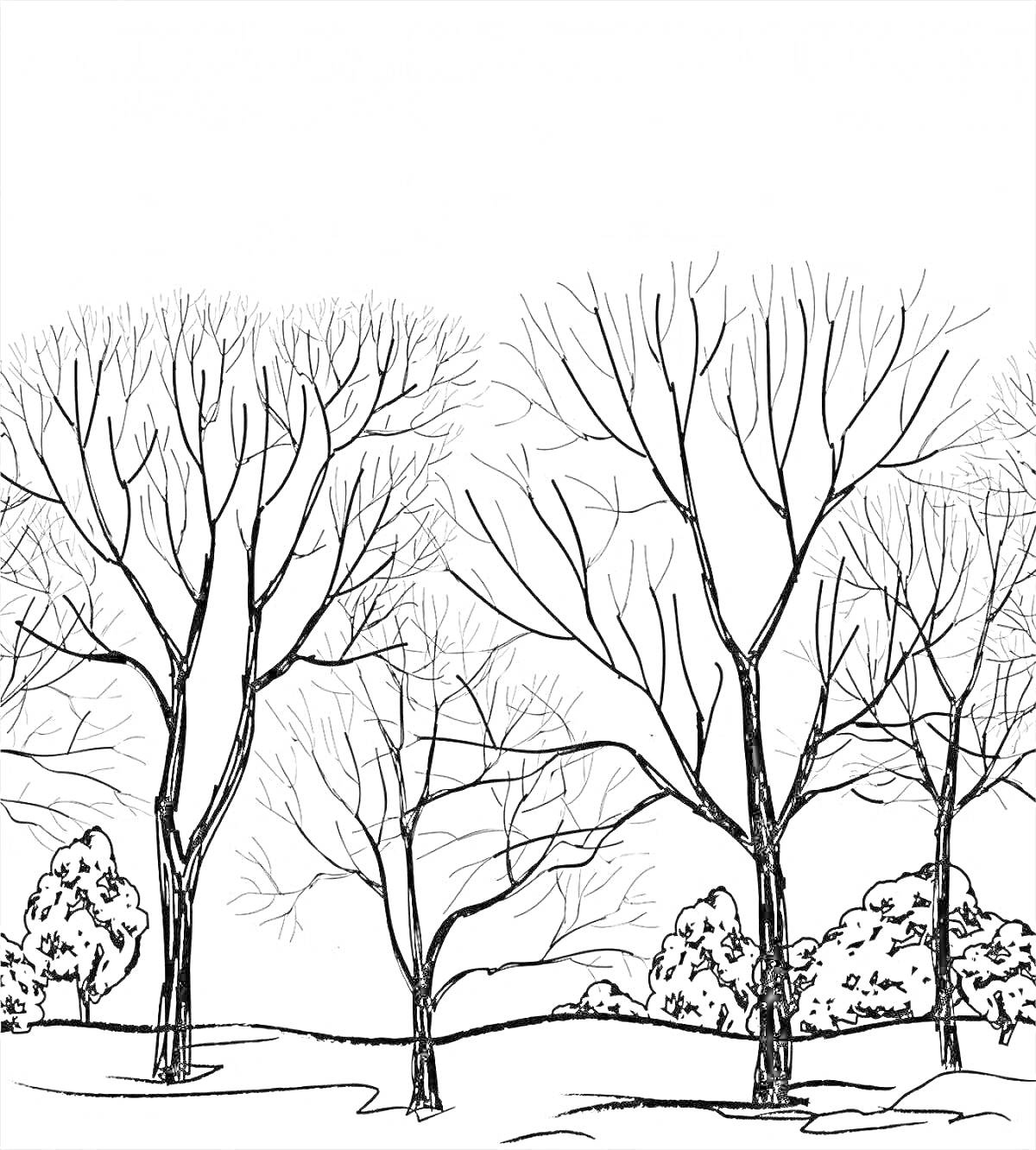Раскраска голые деревья с кустами на заднем плане