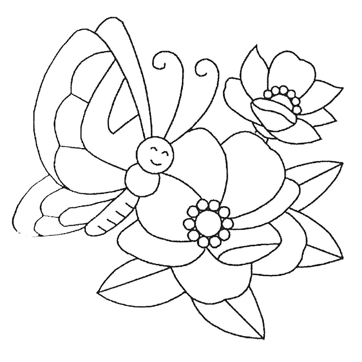 Раскраска бабочка на крупном цветке с листьями на фоне и двумя цветами