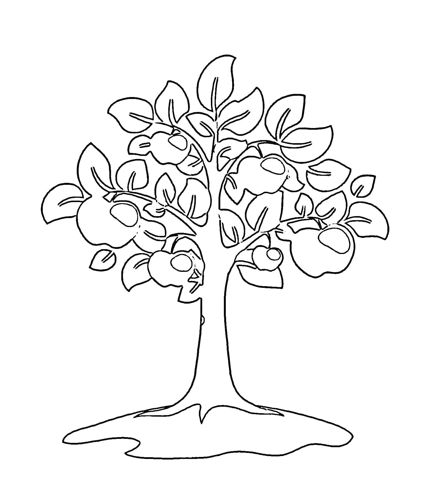 На раскраске изображено: Яблоня, Листья, Растения, Яблоко, Деревья, Контурные рисунки