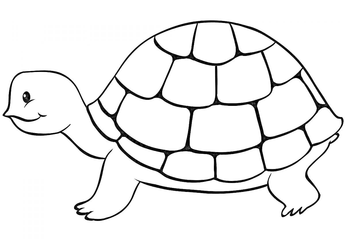 Раскраска Черепаха с четырьмя лапами, панцирем и улыбающейся мордочкой