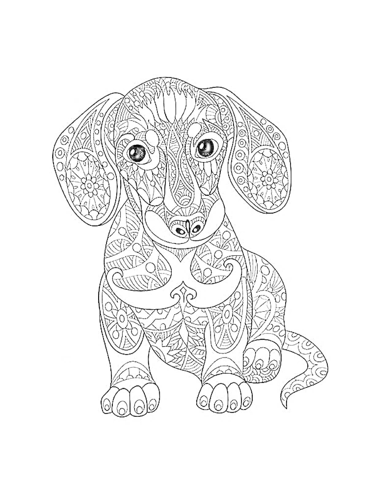 Раскраска Раскраска антистресс с собакой, узорчатый пес с большими ушами