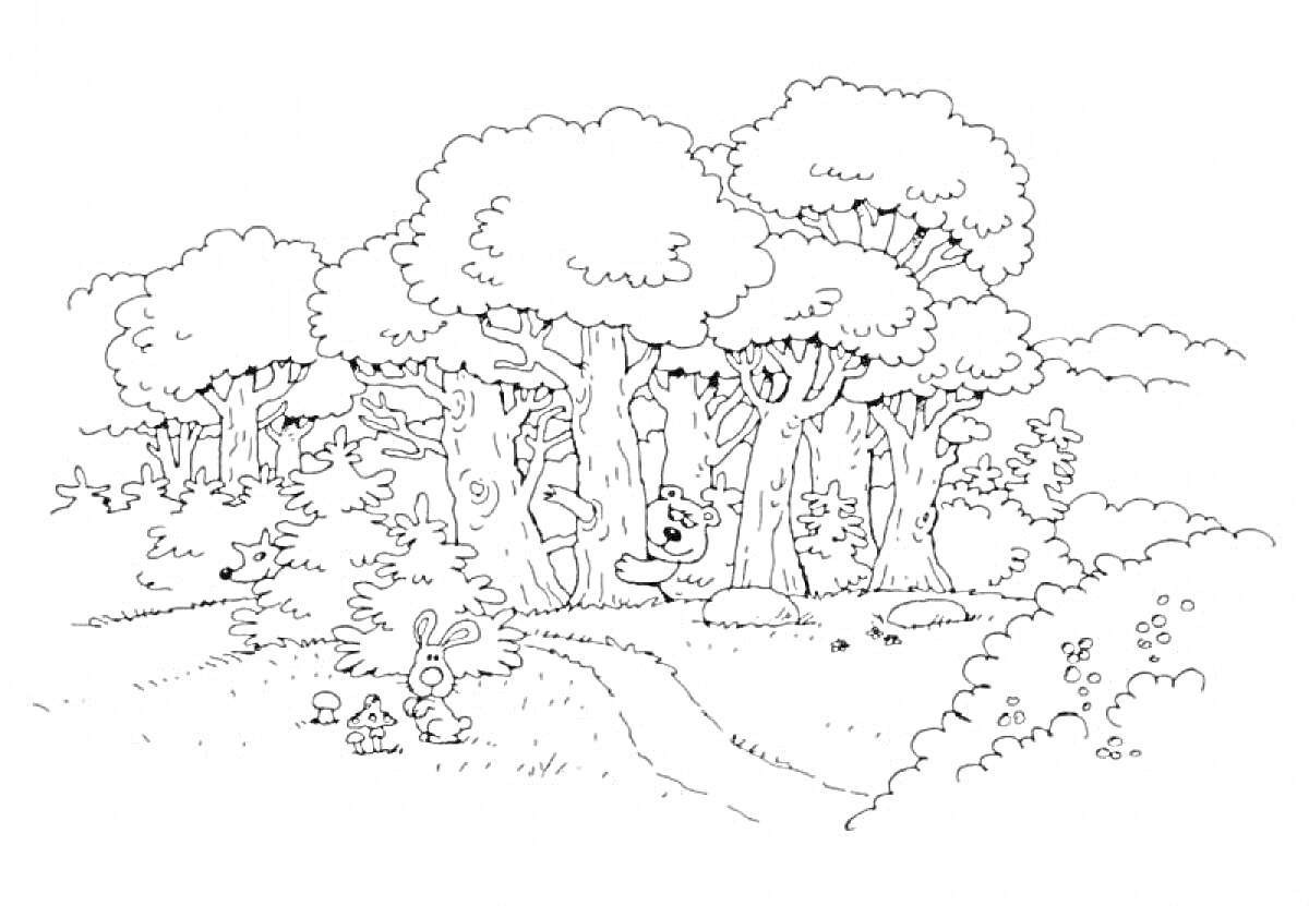 На раскраске изображено: Лес, Деревья, Дорожка, Кусты, Грибы, Природа, Для детей, Животное