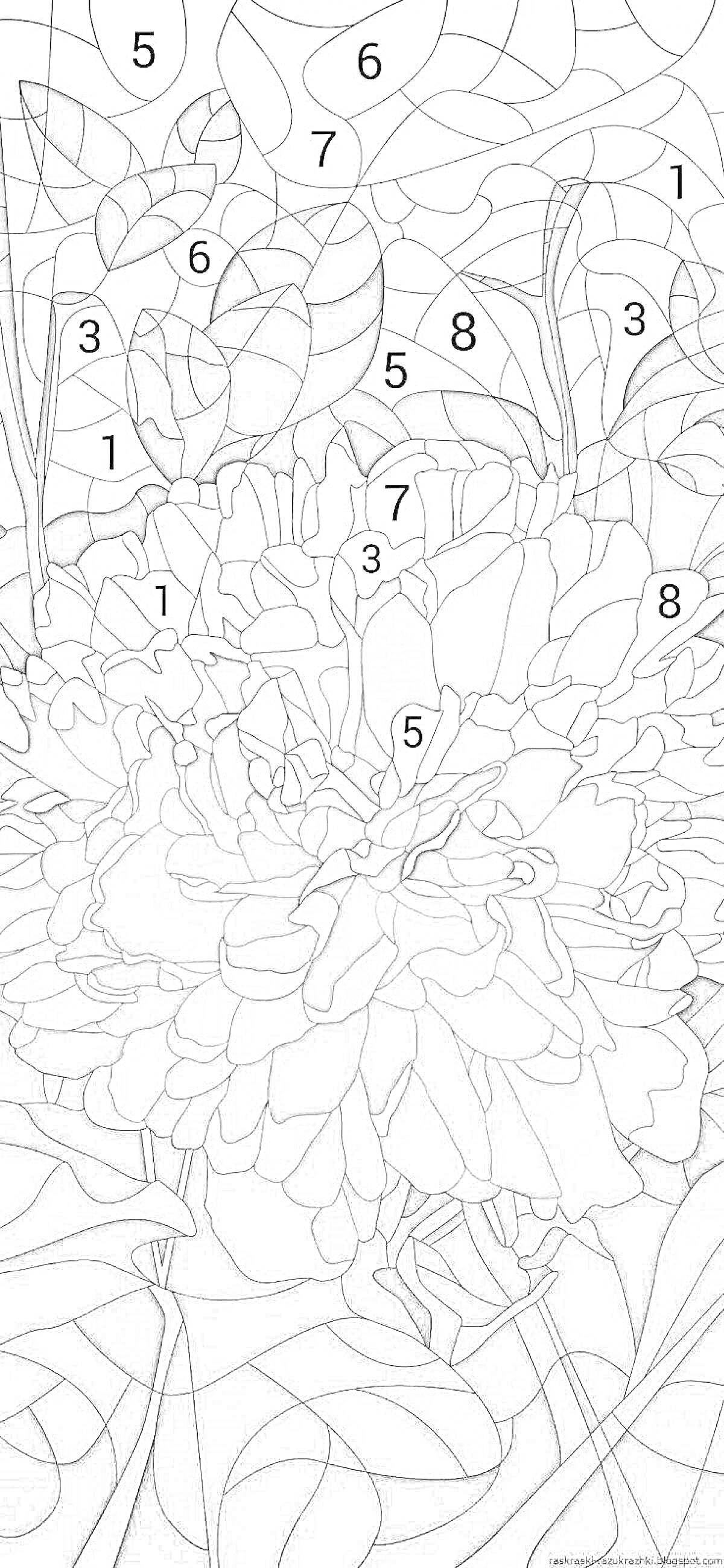 Раскраска Цветок с листьями и стеблями