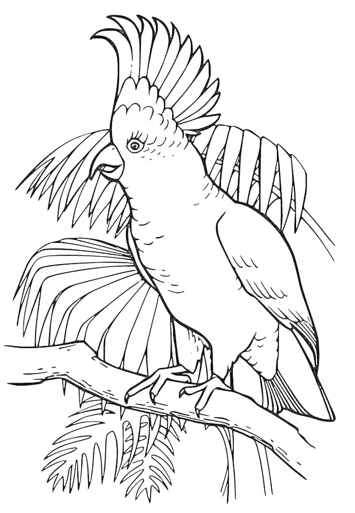 Раскраска Попугай на ветке с пальмовыми листьями на фоне