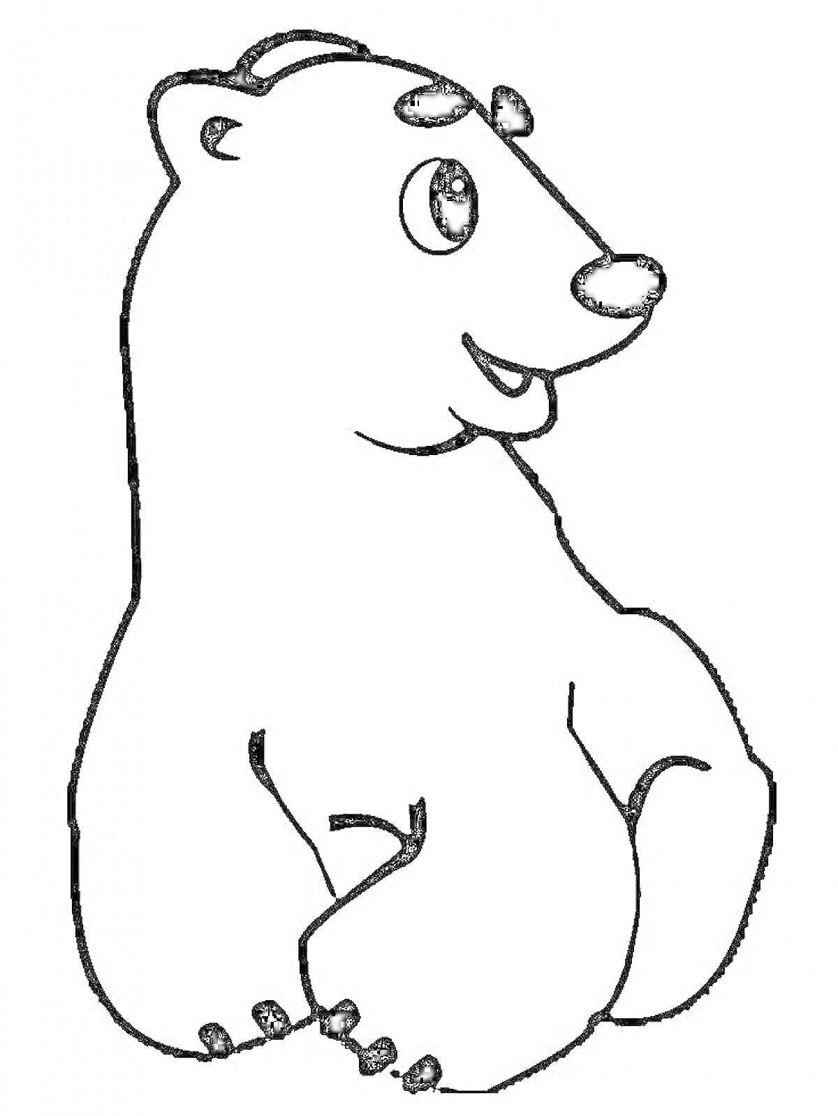 Раскраска мультяшный белый медведь с милым выражением лица, сидящий и глядящий в сторону