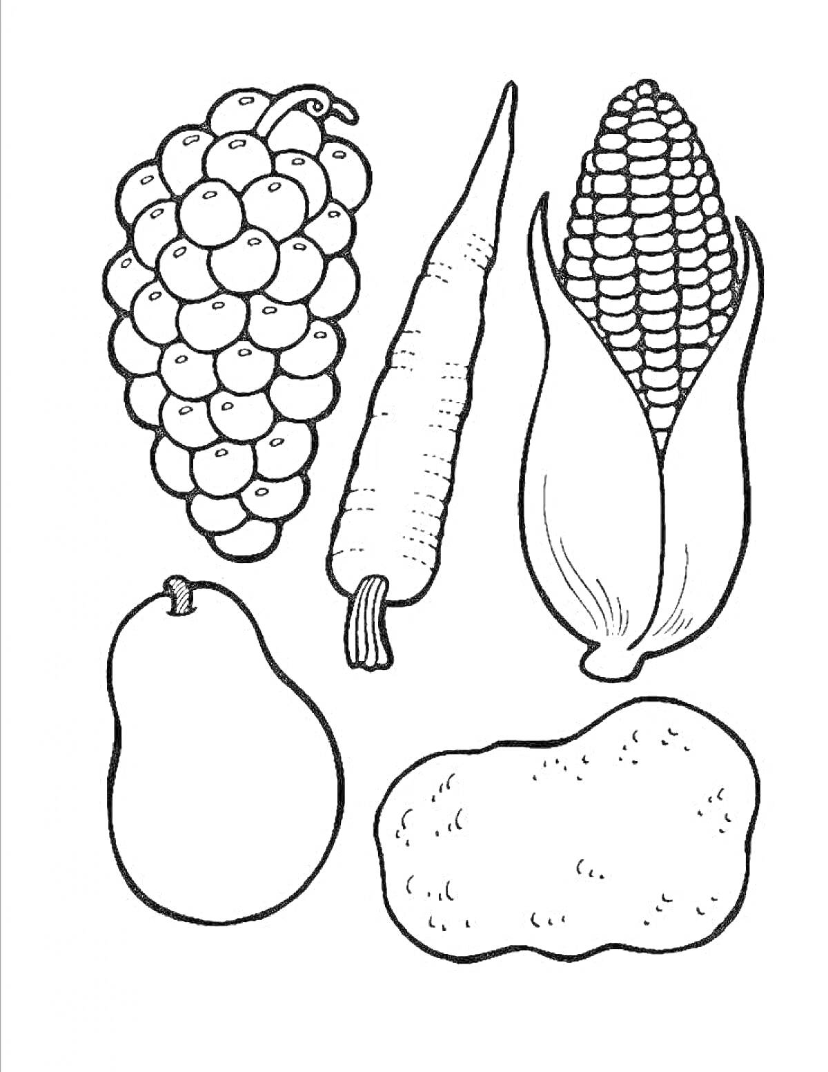 На раскраске изображено: Фрукты, Овощи, Виноград, Морковь, Кукуруза, Картофель