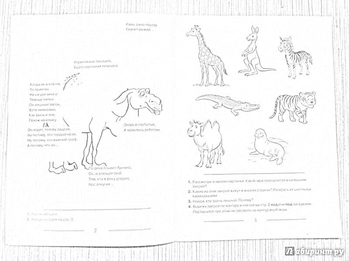 Раскраска Логопедическое упражнение с животными (жираф, верблюд, кенгуру, зебра, крокодил, тигр, слон, морж)