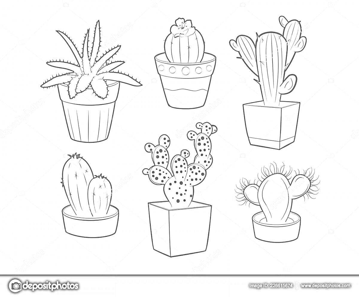 На раскраске изображено: Алоэ, Кактусы, Горшки, Растения, Контурные рисунки, Ботаника, Развивающие, Для печати