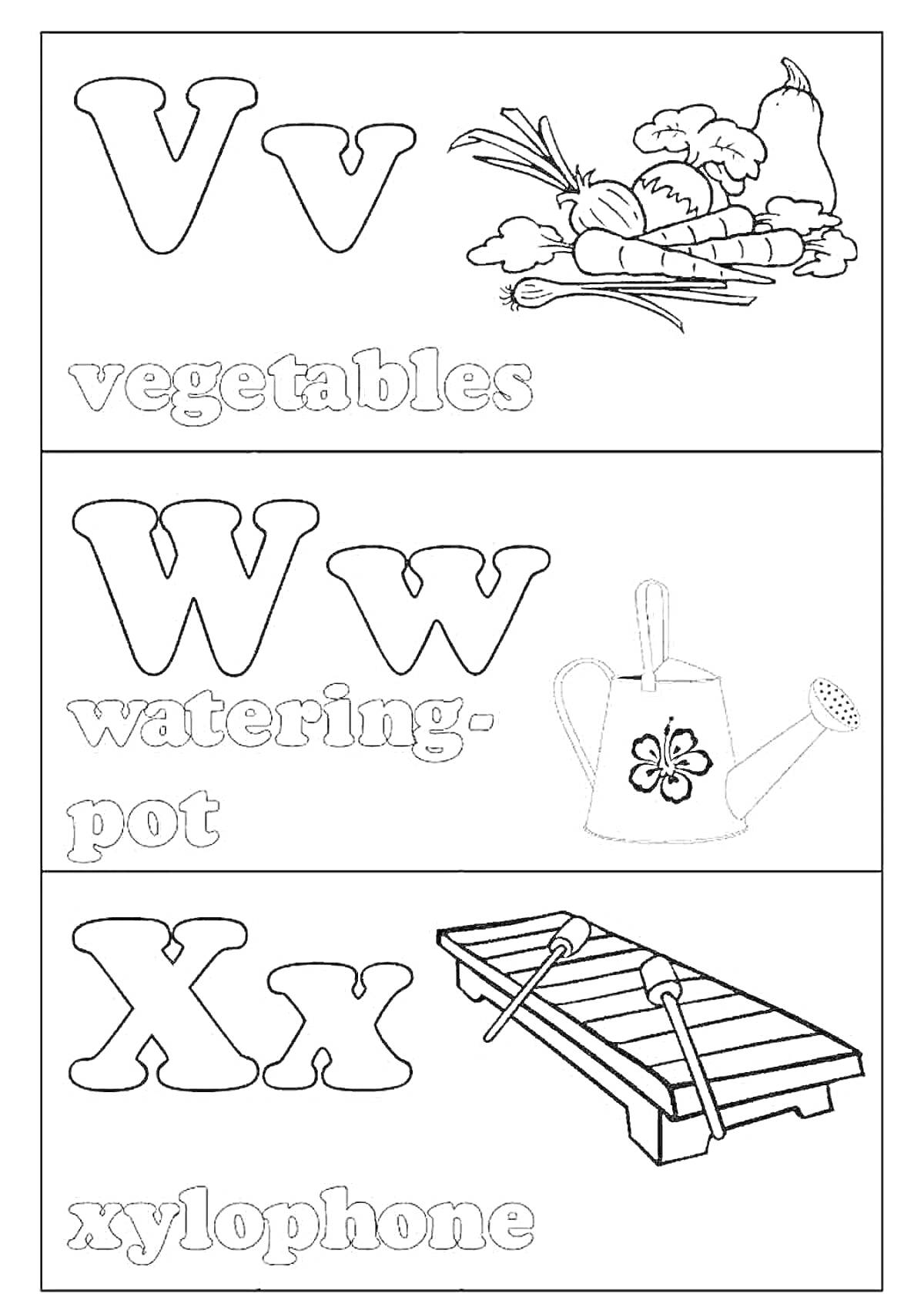 Раскраска Английский алфавит: буквы V, W, X с изображением соответствующих предметов (овощи, лейка, ксилофон)
