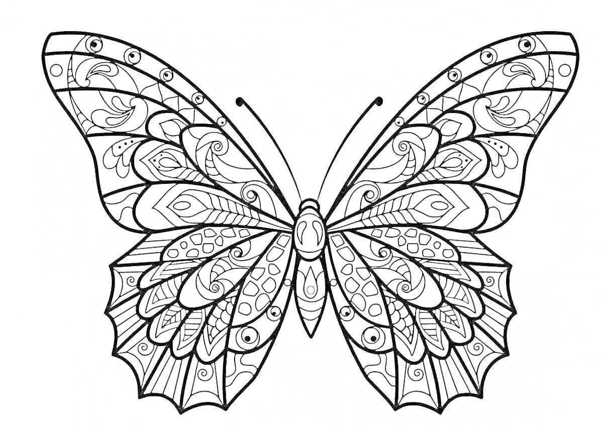 Раскраска Антистресс раскраска бабочка с узорами и деталями на крыльях