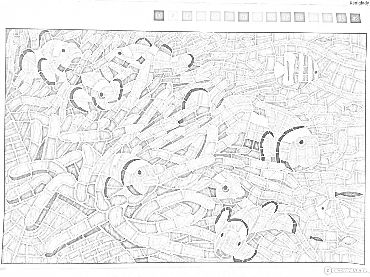 На раскраске изображено: Подводный мир, Рыбы-клоуны, Кораллы, Мозаика