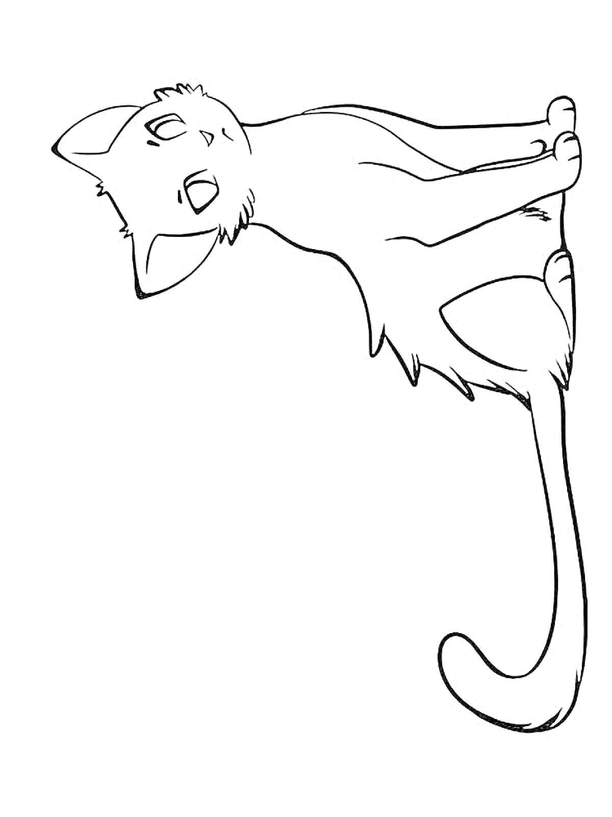 На раскраске изображено: Кот, Длинный хвост, Животные, Для детей