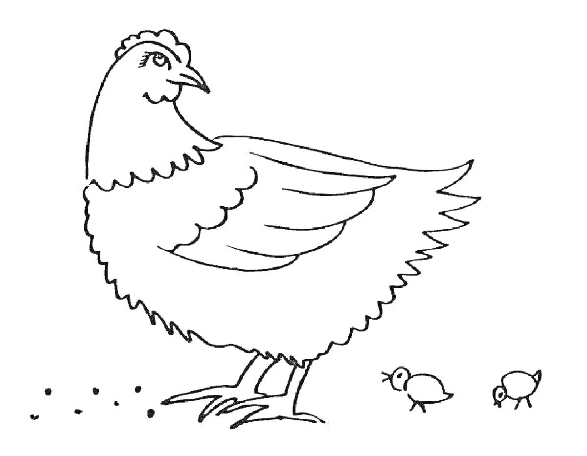 На раскраске изображено: Цыплята, Ферма, Птица, Животные, Зерна, Курицы