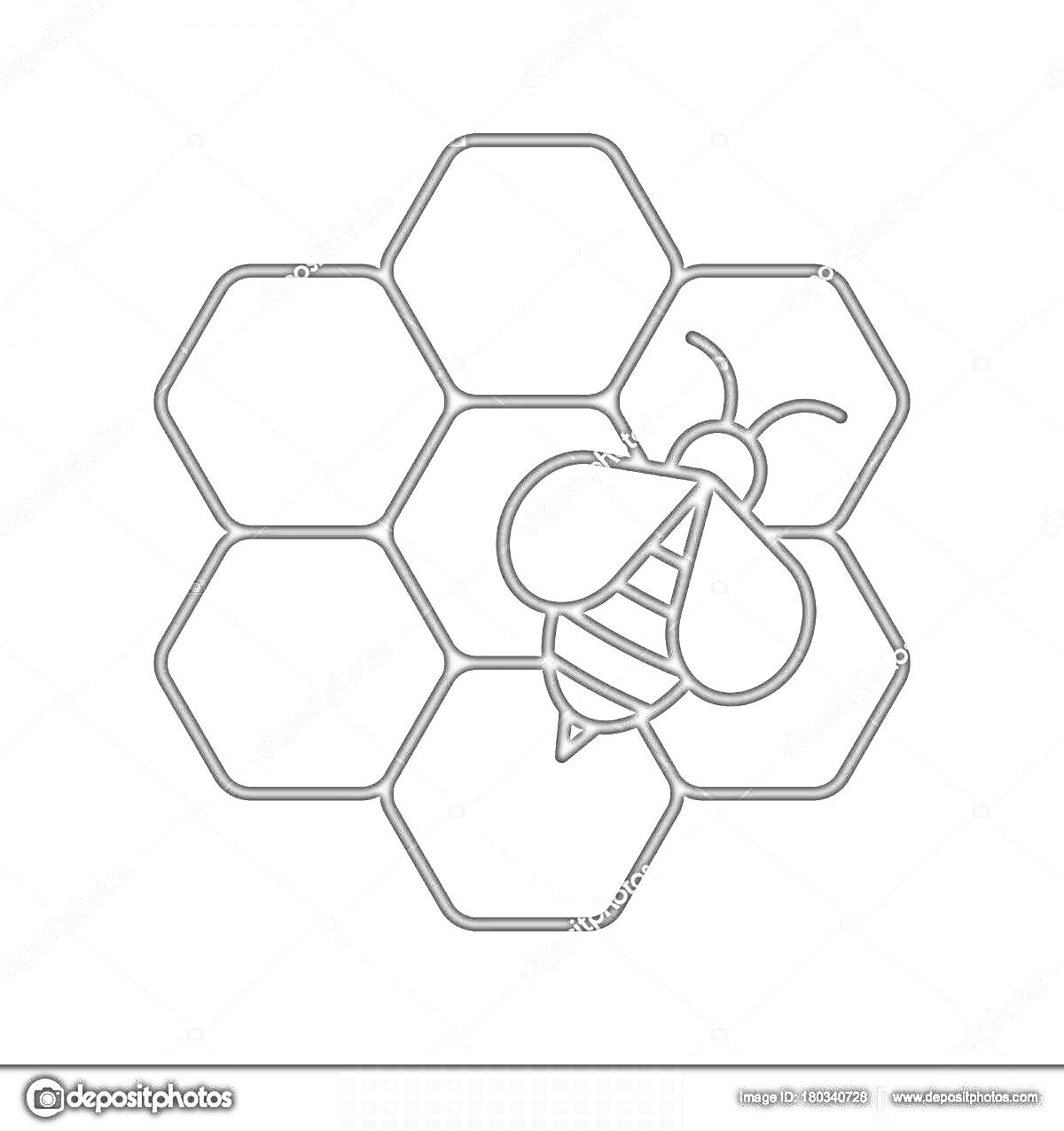 Раскраска Соты с пчелой