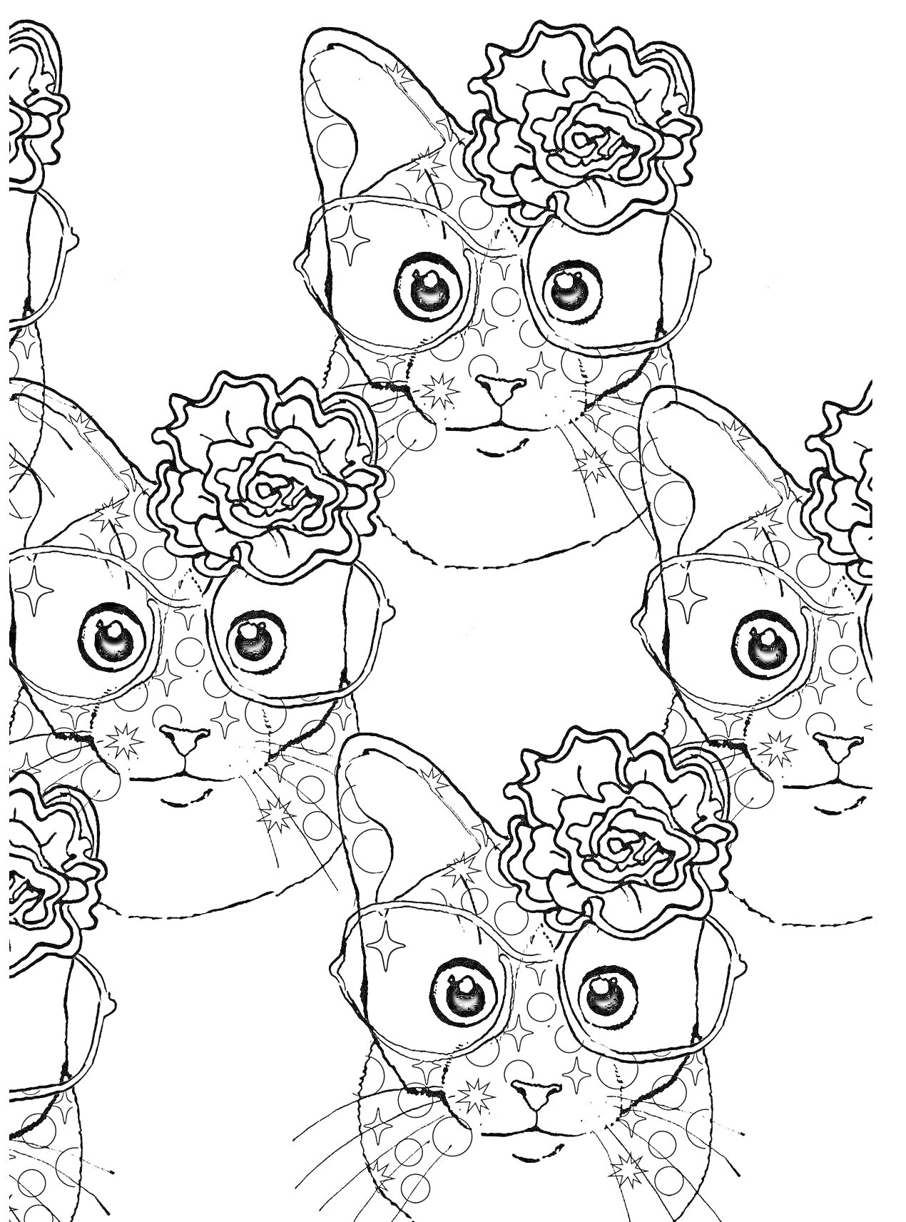 Кошки в очках с цветами на голове