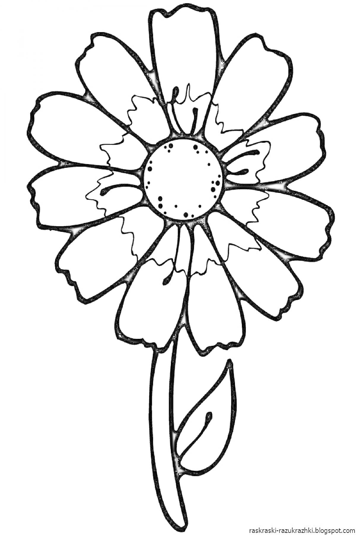 На раскраске изображено: Ромашка, Для детей, Цветы, Контурные рисунки, Листья