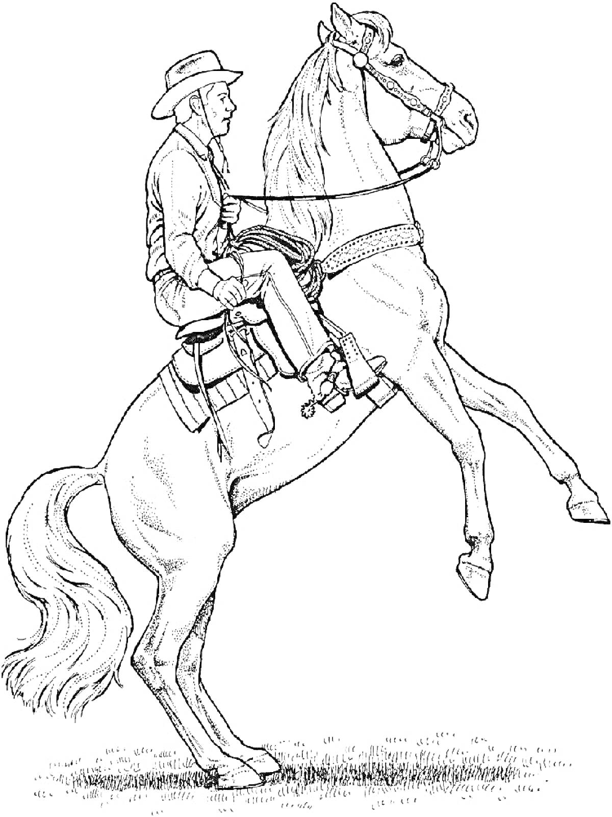 Раскраска Человек верхом на вставшем на дыбы коне